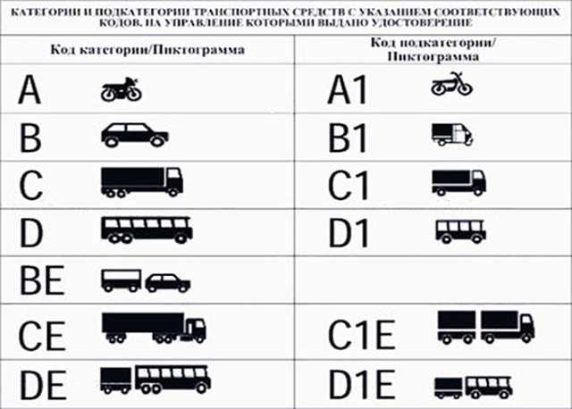 Авто категории м1 фото