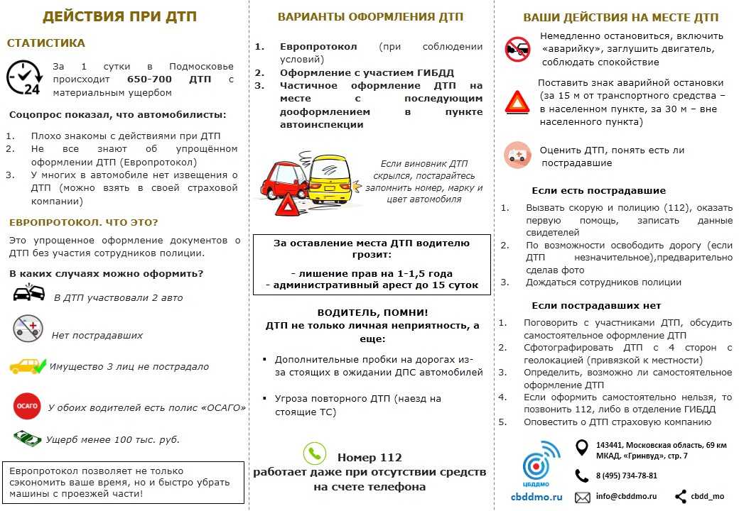 Пошаговая инструкция – участникам дтп