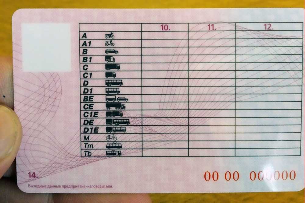 Водительское удостоверение нового образца 2019 расшифровка