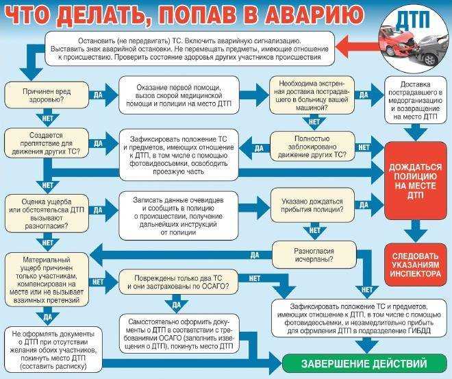 Если я виновник дтп кто оплачивает ущерб потерпевшему в 2021 году