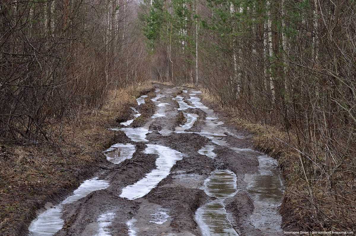 Россия живет дорогами. Грязная дорога. Грязная Лесная дорога. Грязная дорога в лесу. Дороги весной.