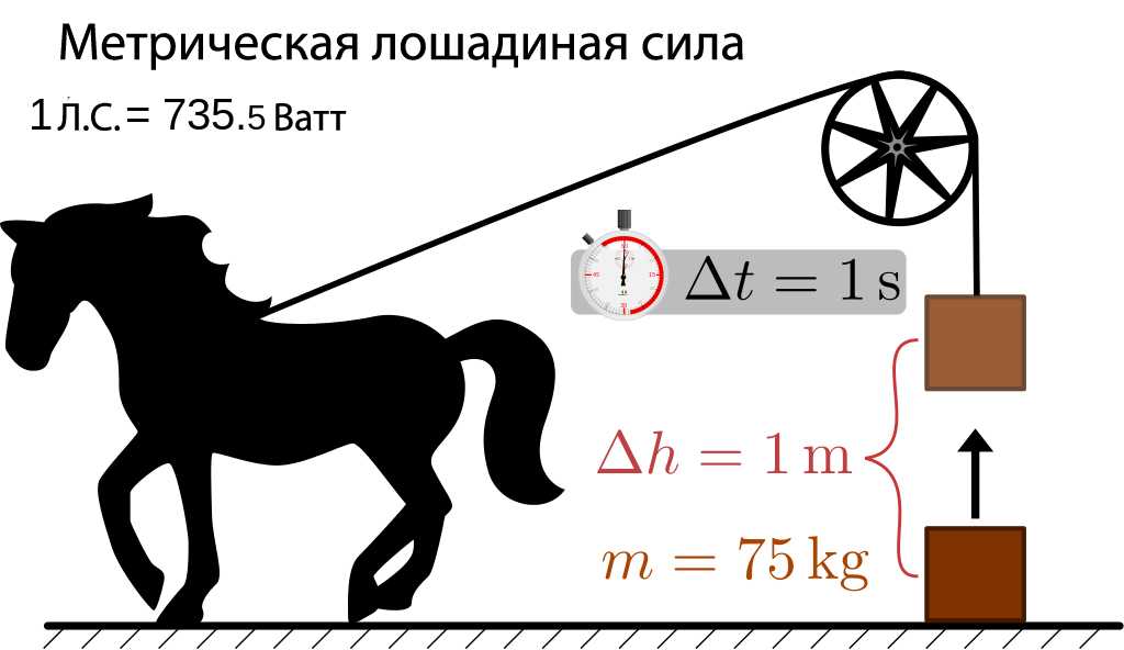 Скорость бега человека: от чего зависит и как ее увеличить?