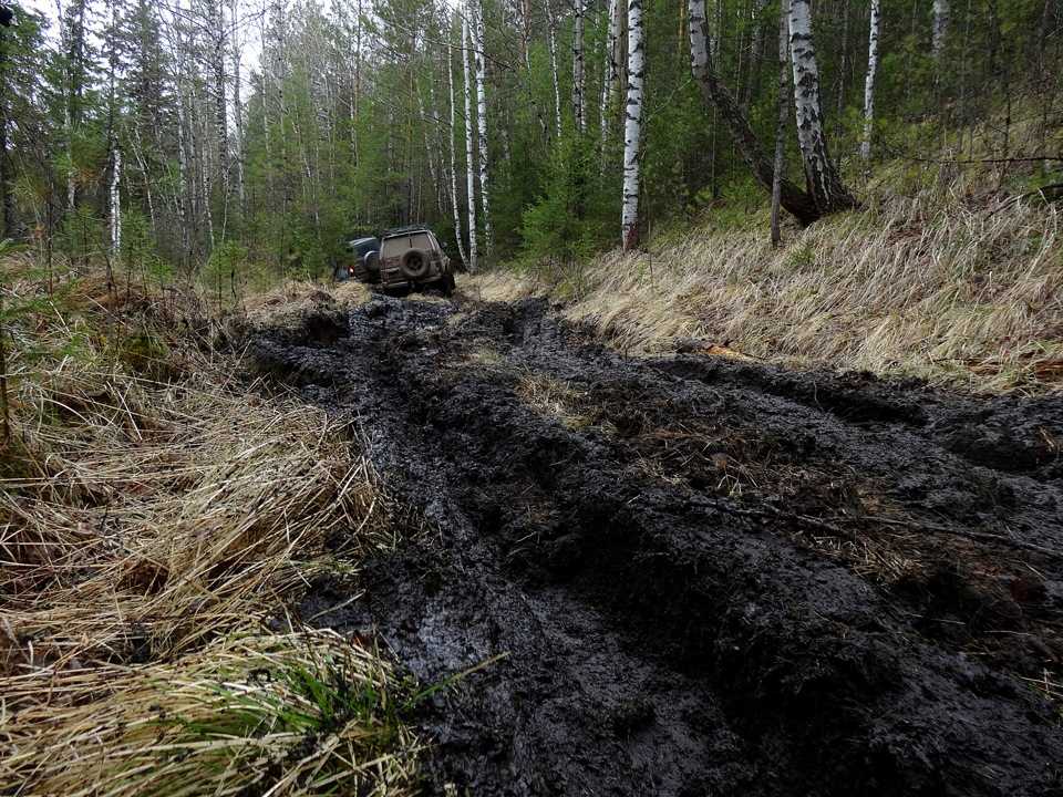 Позволяет корню прокладывать дорогу в почве. Лесная дорога с колеей и грязь. Грязная Лесная дорога. Лесная колея. Бездорожье в лесу.