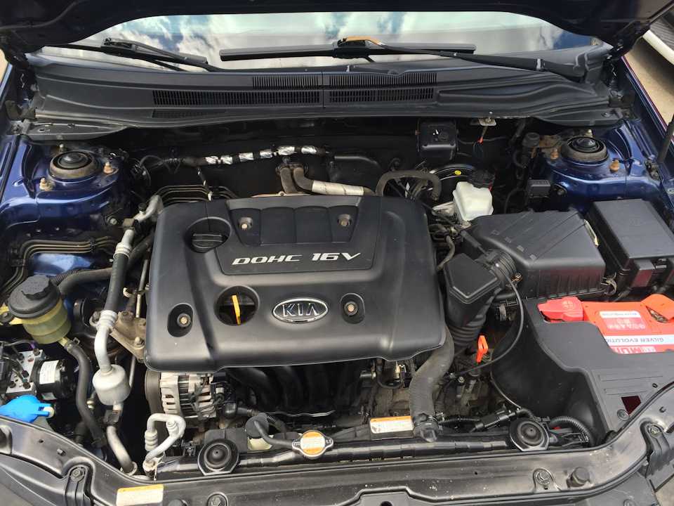 Какое масло лить в двигатель kia cerato — автомобильный портал